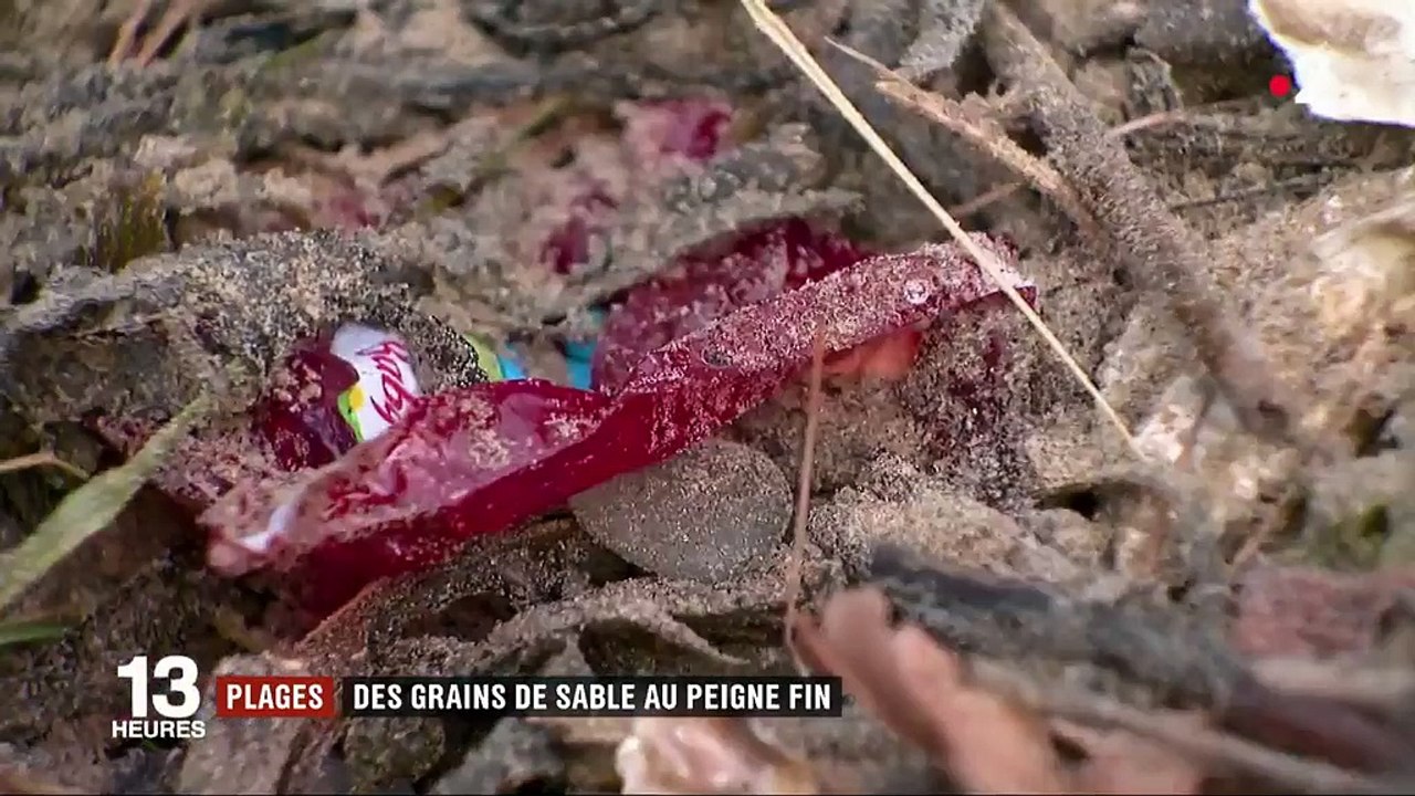 Plages non-fumeurs, ramassage des déchets à la main... la Charente-Maritime préserve son littoral