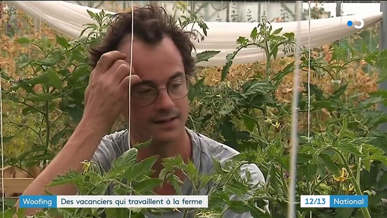 ‌Woofing : travailler dans des fermes en échange du gîte et du couvert