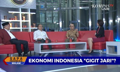 Dialog: Ekonomi Indonesia "Gigit Jari"? (2)