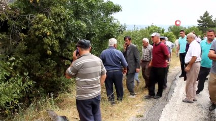 Tosya'da otomobil bahçeye uçtu