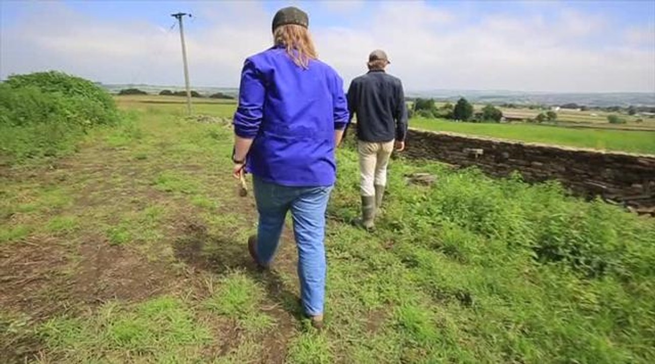 Dry stone walling