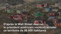 Réactions au Groenland alors que Trump aurait proposé d'acheter l'île