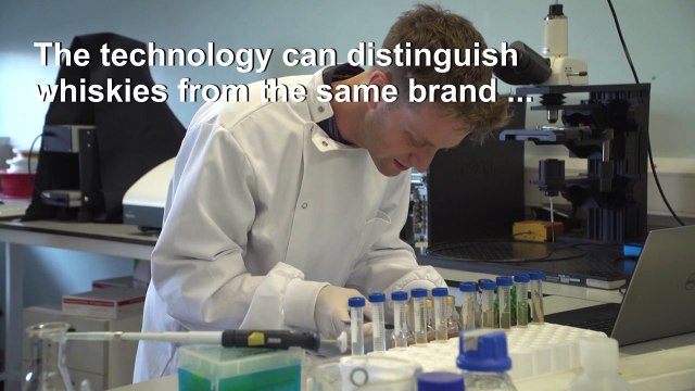 Artificial 'tongue' can distinguish between whiskies
