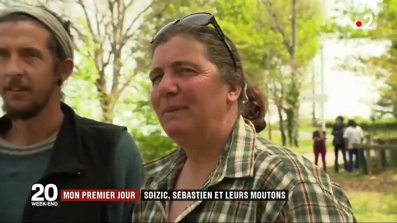 Reconversion professionnelle : une ancienne ingénieure et un ex-employé en couple investissent dans leur propre élevage de brebis