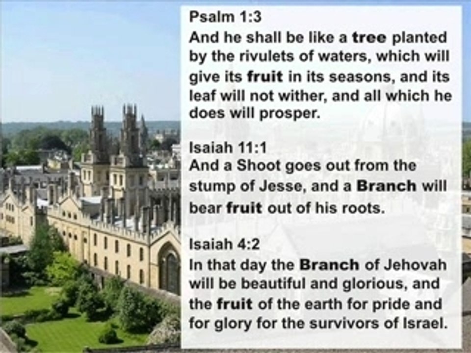 CS Lewis said the Psalmists were "Homicidal and Fanatic"