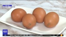 [스마트 리빙] 날달걀, 식중독 주의하세요
