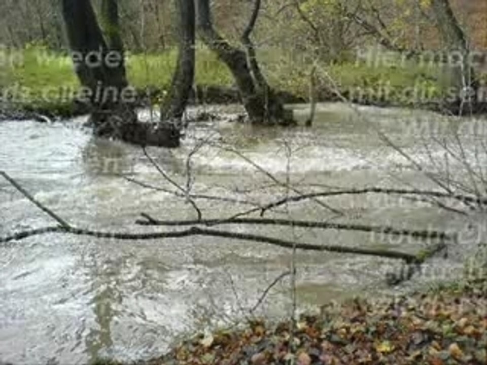 Ich will dich nicht verlieren