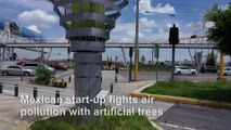 Mexican start-up fights air pollution with artificial trees