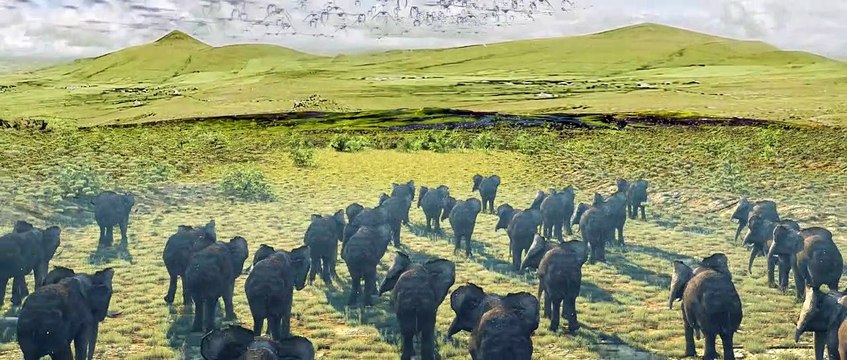 VFX - جلوه های ویژه - جلوه های بصری - جلوه های ویژه سینمایی - جلوه های ویژه در ایران - Visual effects in Iran - VFX in Iran - Iran VFX