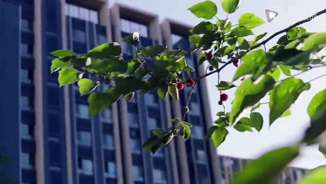 Thuyết tiến hóa tình yêu tập 15 - VTV1 thuyết minh - Phim Trung Quốc - phim thuyet tien hoa tinh yeu tap 16 - phim thuyet tien hoa tinh yeu tap 15