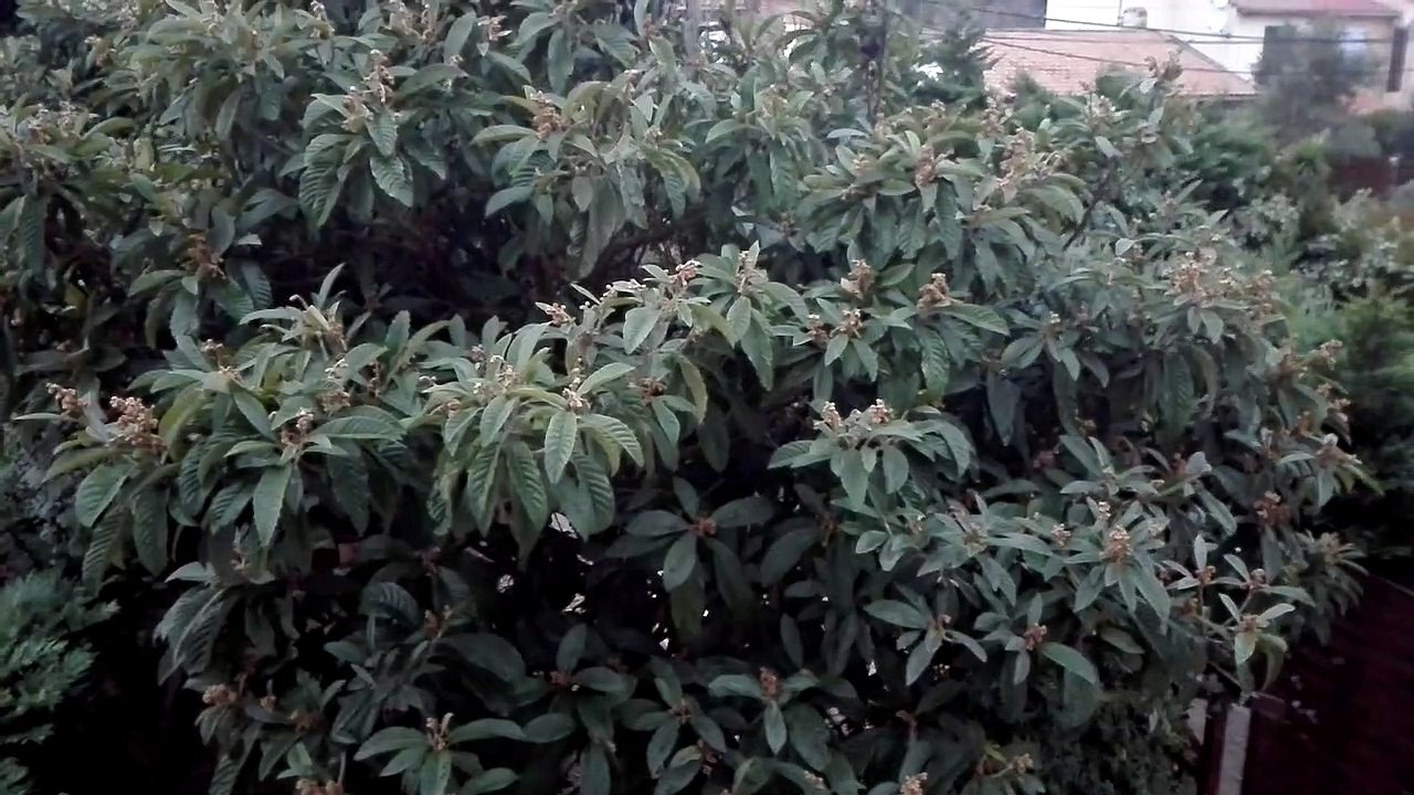 FR-1.3-Fos-La maison-neige 20171202 (34)