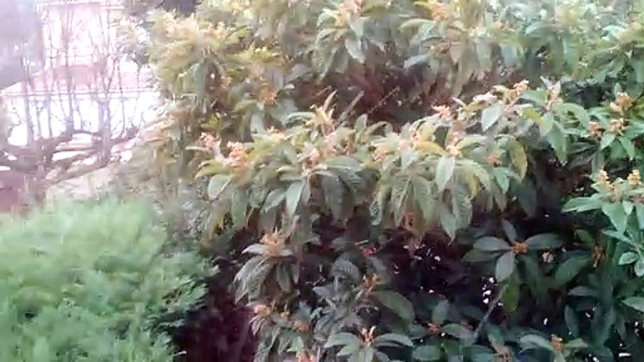 FR-1.3-Fos-La maison-neige20171202 (39)