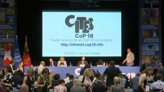 Ginevra: conferenza mondiale sulle specie minacciate di estinzione