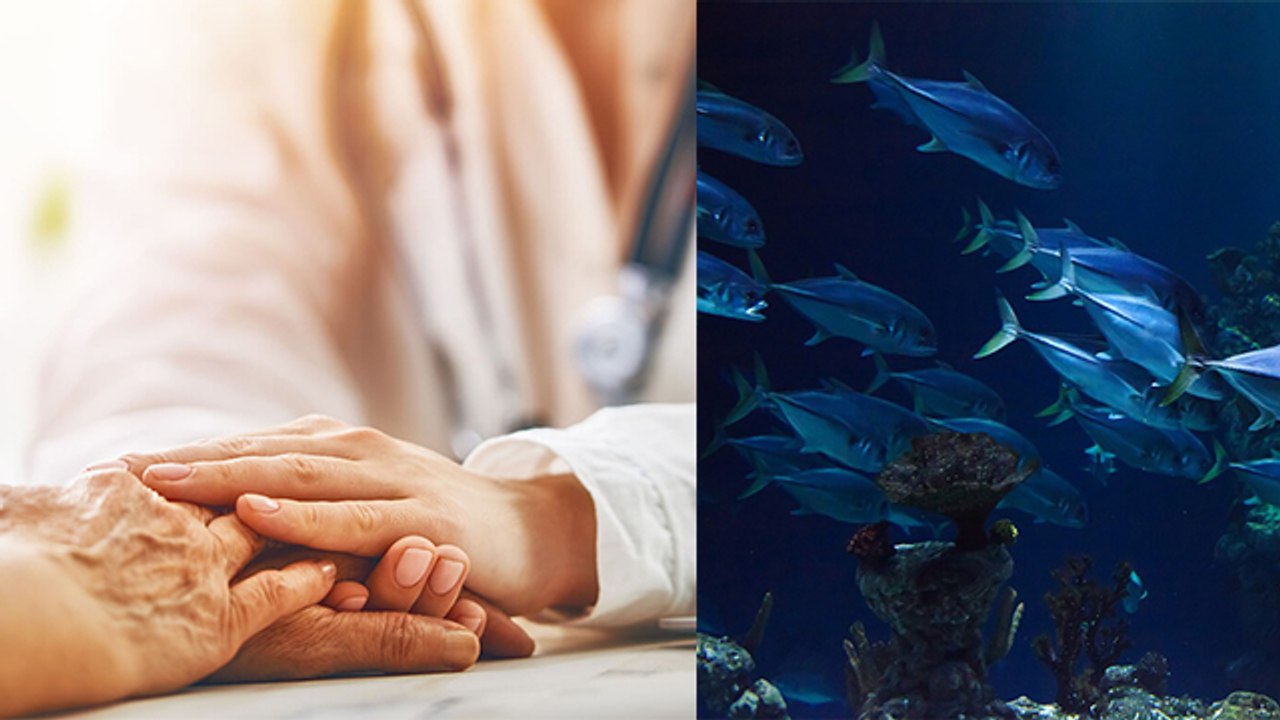 मछली के सेवन से कैंसर का खतरा दूर |Eating fish reduces risk of cancer| Boldsky