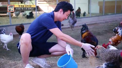 [선공개] (닭 취급 주의!) 넘사벽 매력으로 연매출 20억! 딱 봐도 비싸보이는 닭의 비주얼!!!