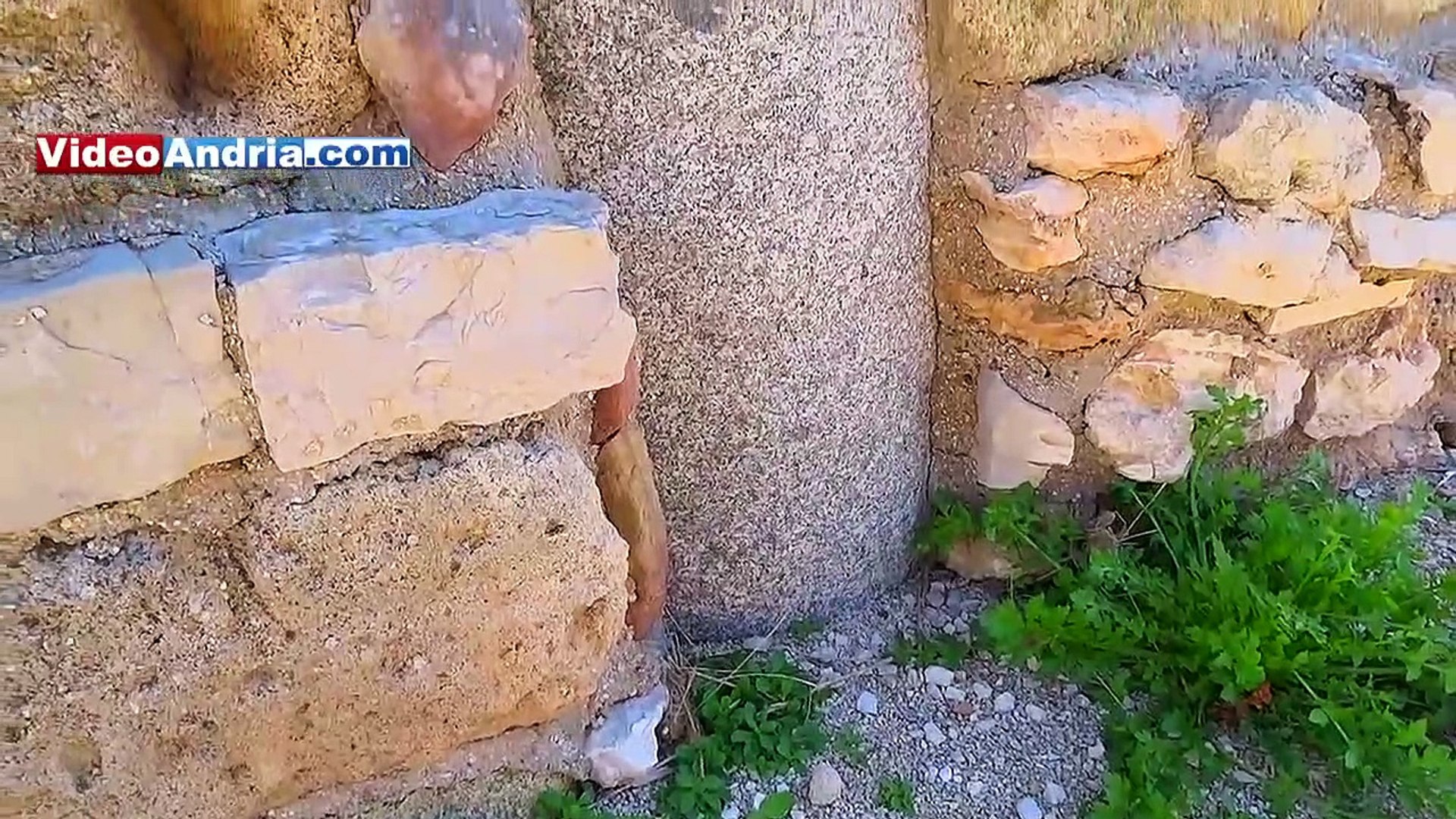 ⁣Canne della Battaglia: esplorando il sito archeologico (archaeological site of Cannae)