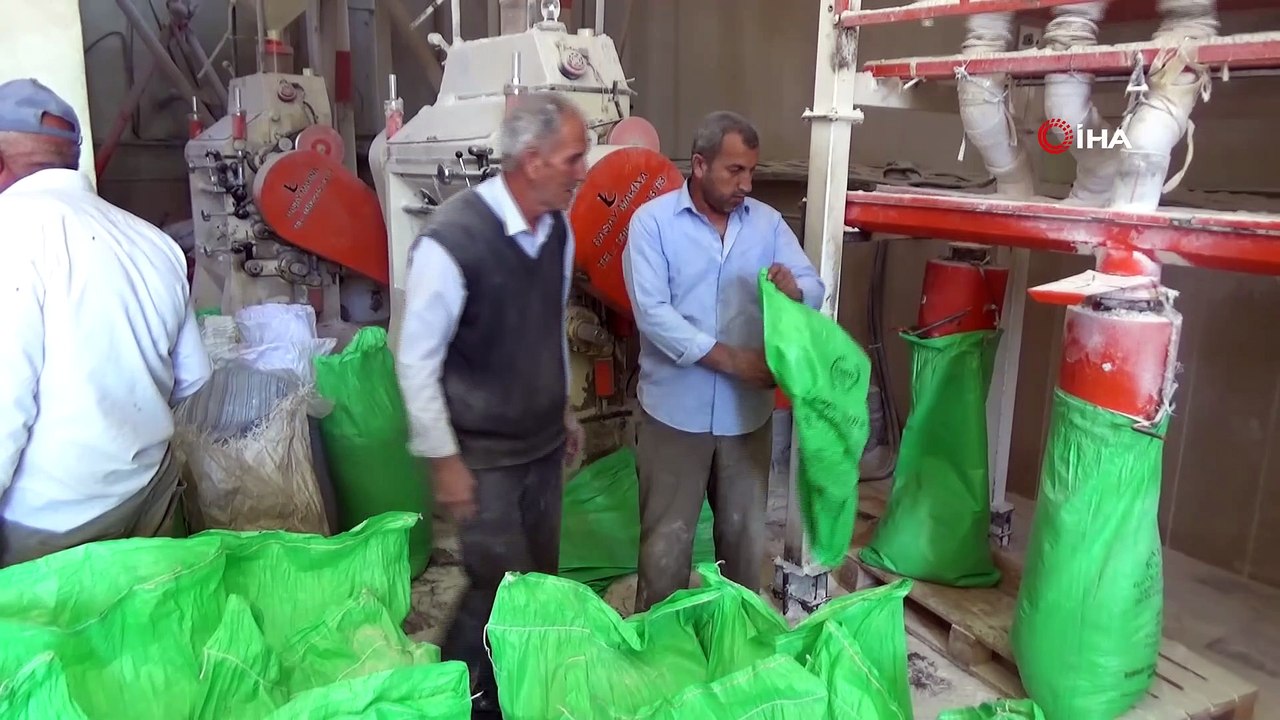 Çiftçiler ekmek için buğdaylarını öğütmeye başladı