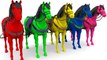 Animales para niños - Aprende los colores con animales de elefante caballos en la granja para niños