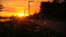 Tangerine Dream - Virtually Fields (1995)