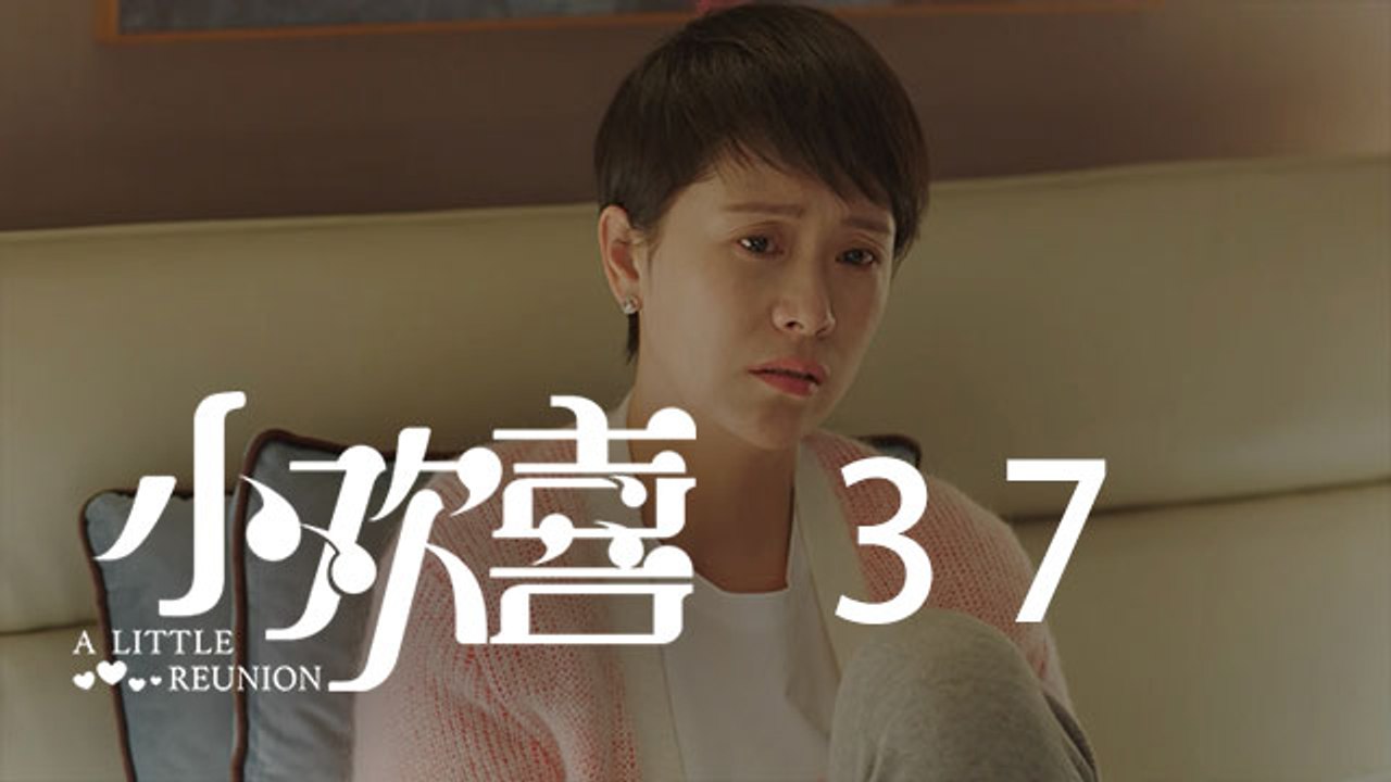 小歡喜 37 | A Little Reunion 37（黃磊、海清、陶虹等主演）