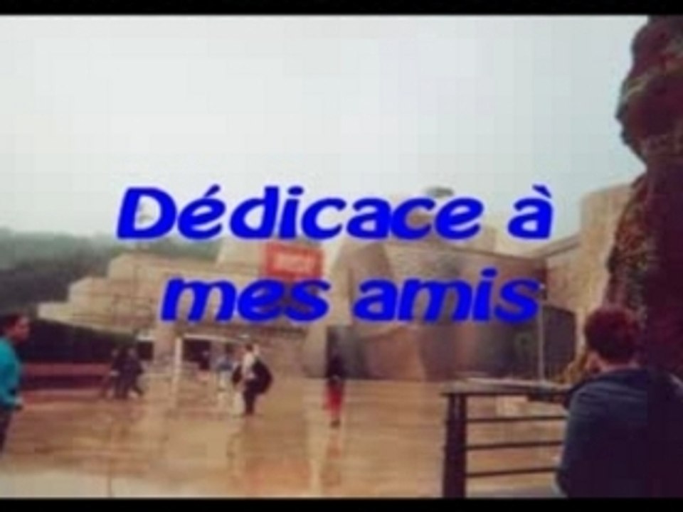 Dédicace à mes amis