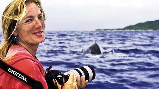 Кит не отпускал дайвера и когда она поняла почему, то была шокирована ( 720 X 1280 )