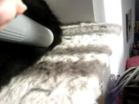 Looping 8 mois et demi 053