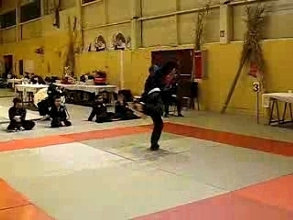 Viet Vo Dao Marolles Quyen Arme Hugo