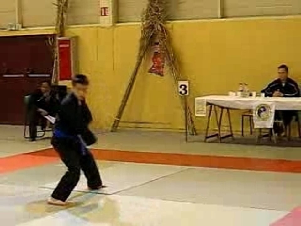 Viet Vo Dao Marolles Quyen 5