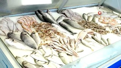 Bu balık pazarında her şey var