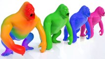 Aprende Animales y Colores con divertidos Monos y bolas - Videos Educativos para Niños