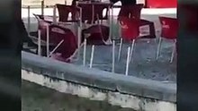 Touro foge durante largada em Alcochete