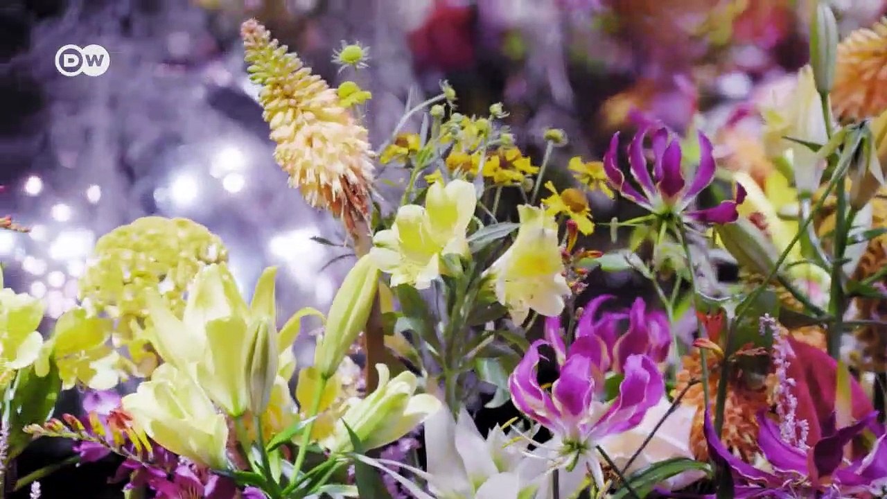 Blumenmeer im Brüsseler Rathaus | Euromaxx