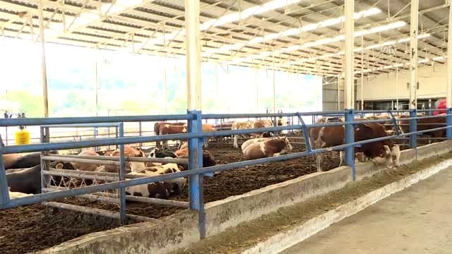 Kadın girişimci yapamazsın diyenlere inat çiftlik kurdu