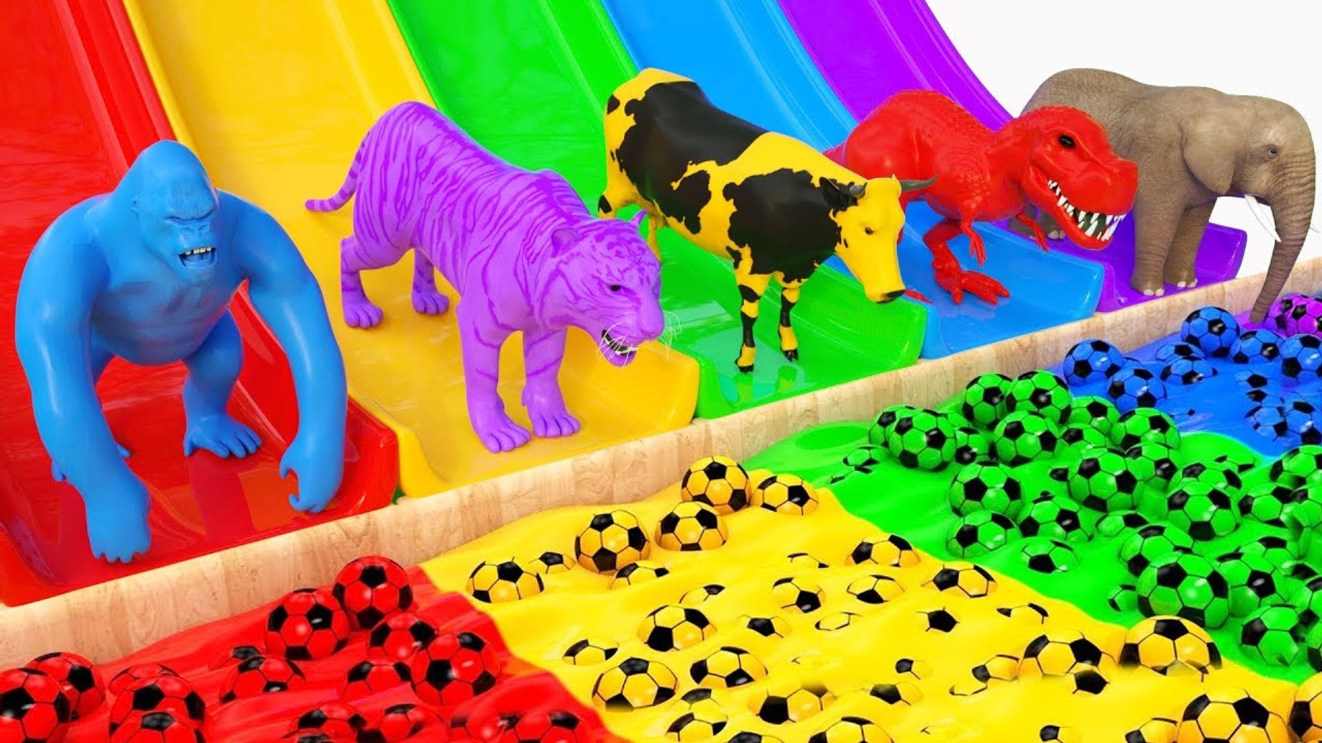 Aprende animales y Colores con Animales salvajes en un Tobogán de agua  Mágico para Niños - video Dailymotion
