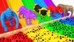 Aprende animales y Colores con Animales salvajes en un Tobogán de agua Mágico para Niños