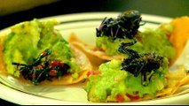 Mexico Cuisine: Edible insects growing up in popularity