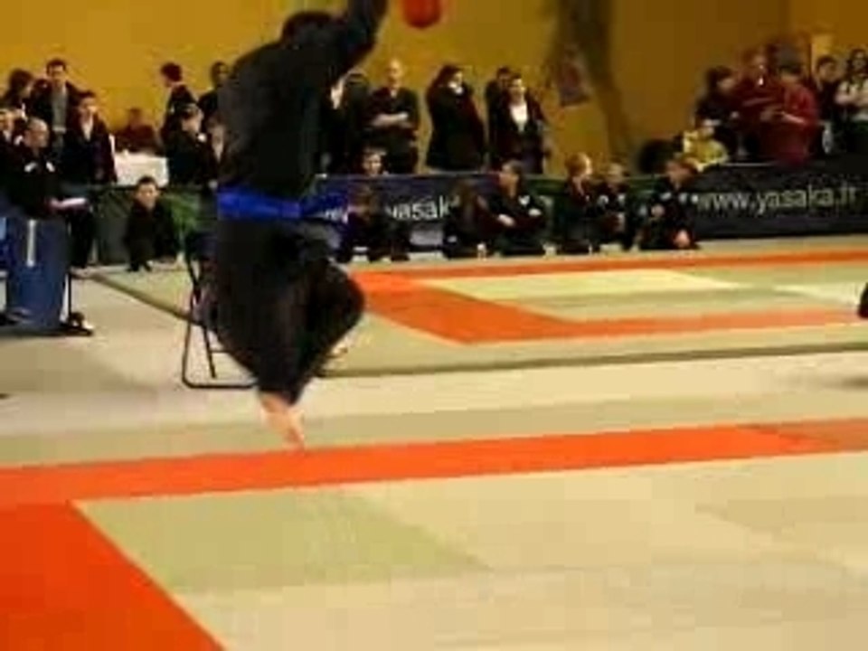 Viet Vo Dao Marolles Quyen Arme 2