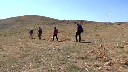 Van Gölü'ne dikkat çekmek için Kurtik Dağı'na tırmandılar