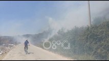 RTV Ora - Lushnje, zjarri djeg plantacione me ullinj