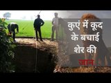 LION RESCUE IN GUJRAT | GIR | LION | Forest Police