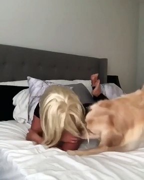 Lorsqu'une chienne confond sa mère avec son papa. Trop drôle !