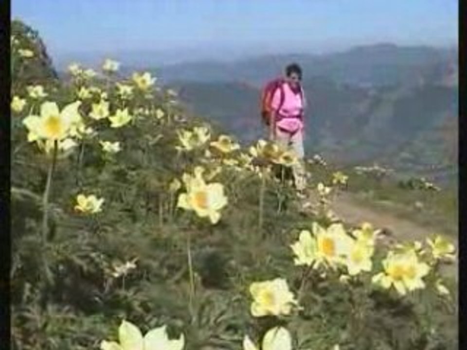 Plomb du Cantal 1855m -Auvergne