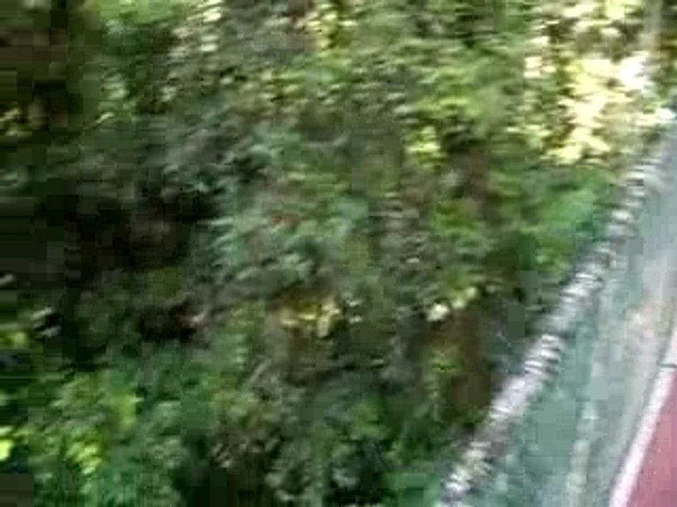 mulu