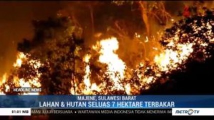 Pemadam Kewalahan Atasi Kebakaran di Perbukitan Majene
