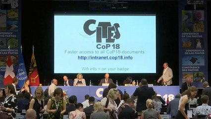 All but 15 of the world's 195 countries attend endangered wildlife conference