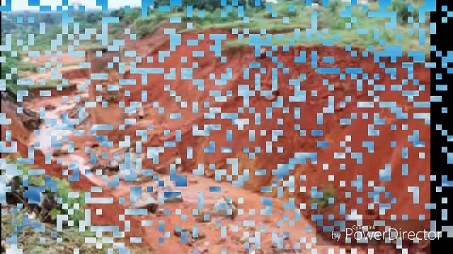 Environnement Voici pourquoi vous devez planter des arbres