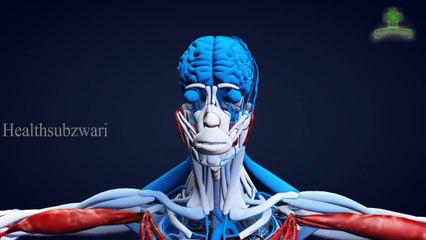 Eat One Boiled Egg Daily And See What Happened