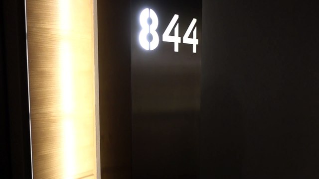 BDMV-1 Aruna & Hari Sharma from Pullman Berlin rm 844 to Lobby Aug 12, 2019