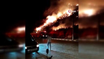 Xanthos Antik Kenti'ni tehdit eden yangın